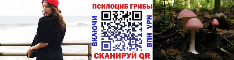 Галлюциногенные грибы Psilocybine cubensis  KRAKEN вход  Петрозаводск  цена наркотик 