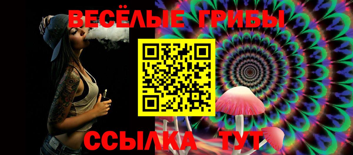 Петрозаводск  Псилоцибиновые грибы Psilocybe  Вход с VPN 